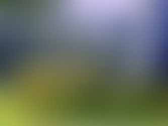 Jesus Will Meet Our Needs