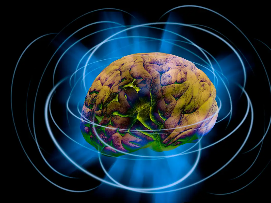Exploring Five Extraordinary Ideas About the Mind and Consciousness