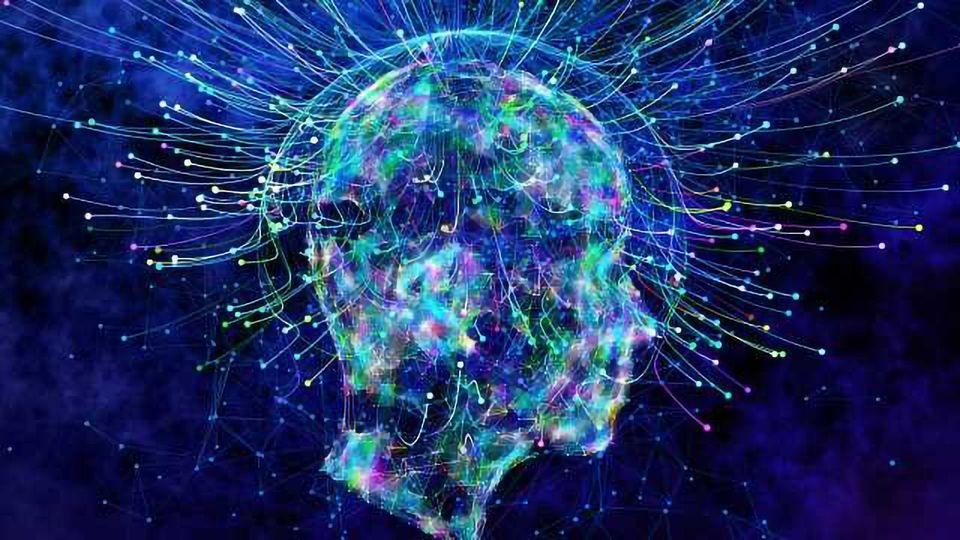 Exploring Quantum Consciousness and the Quest for Understanding