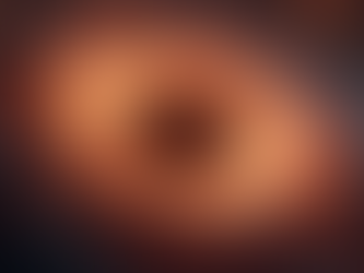 The Discovery of Early Universe Black Hole Stars Explained by James Webb Telescope Observations