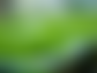 Building Bioplastic Habitats on Mars Using Algae for a Sustainable Future