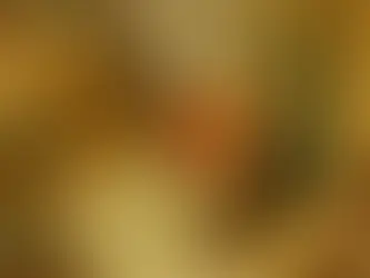 Chilling Histories: Plagues and Climate Shifts in the Roman Empire