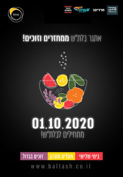 כרזה קערה חדשש.jpg