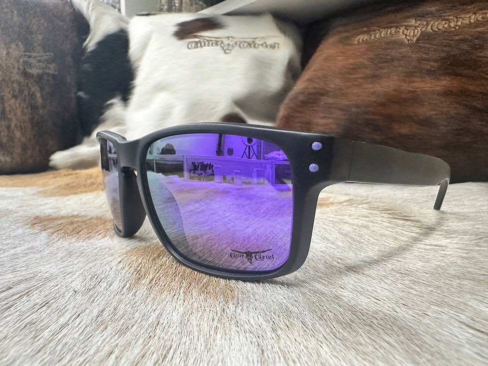 Miniatura: Cattle Cartel Sunglasses