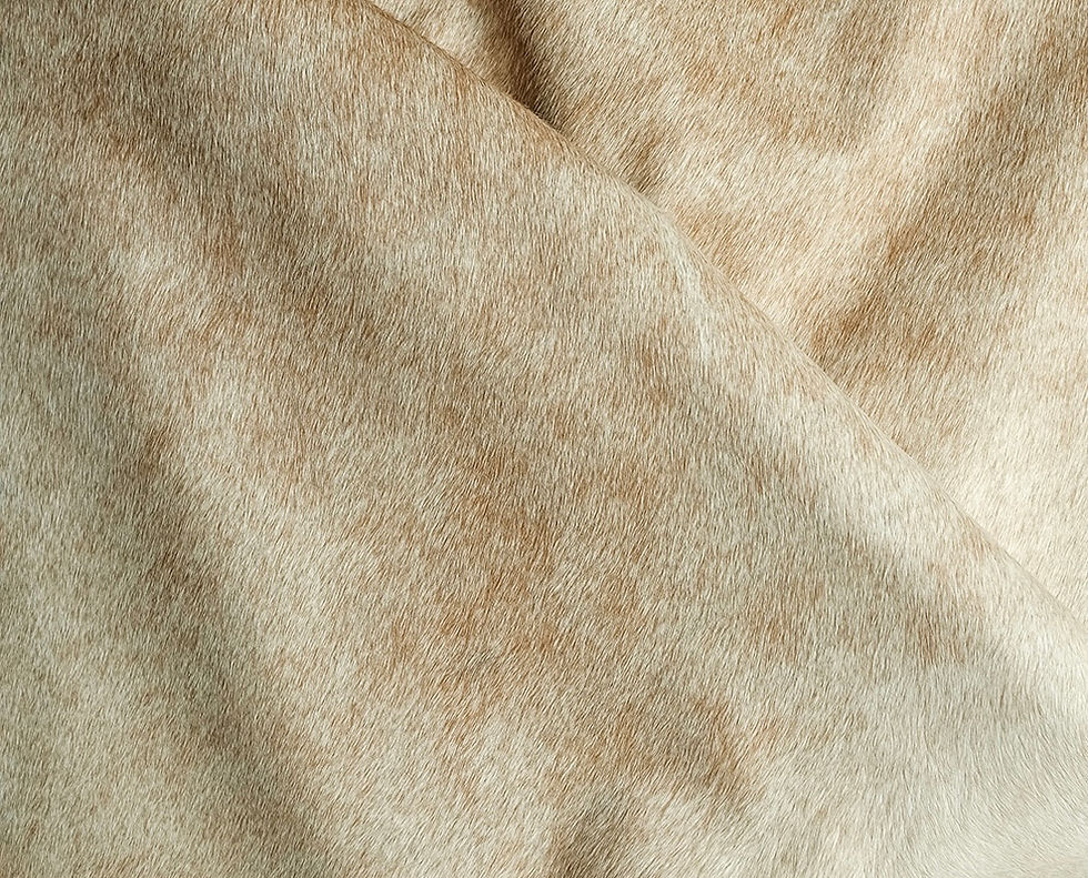 Miniatura: Cowhide Rug Champagne