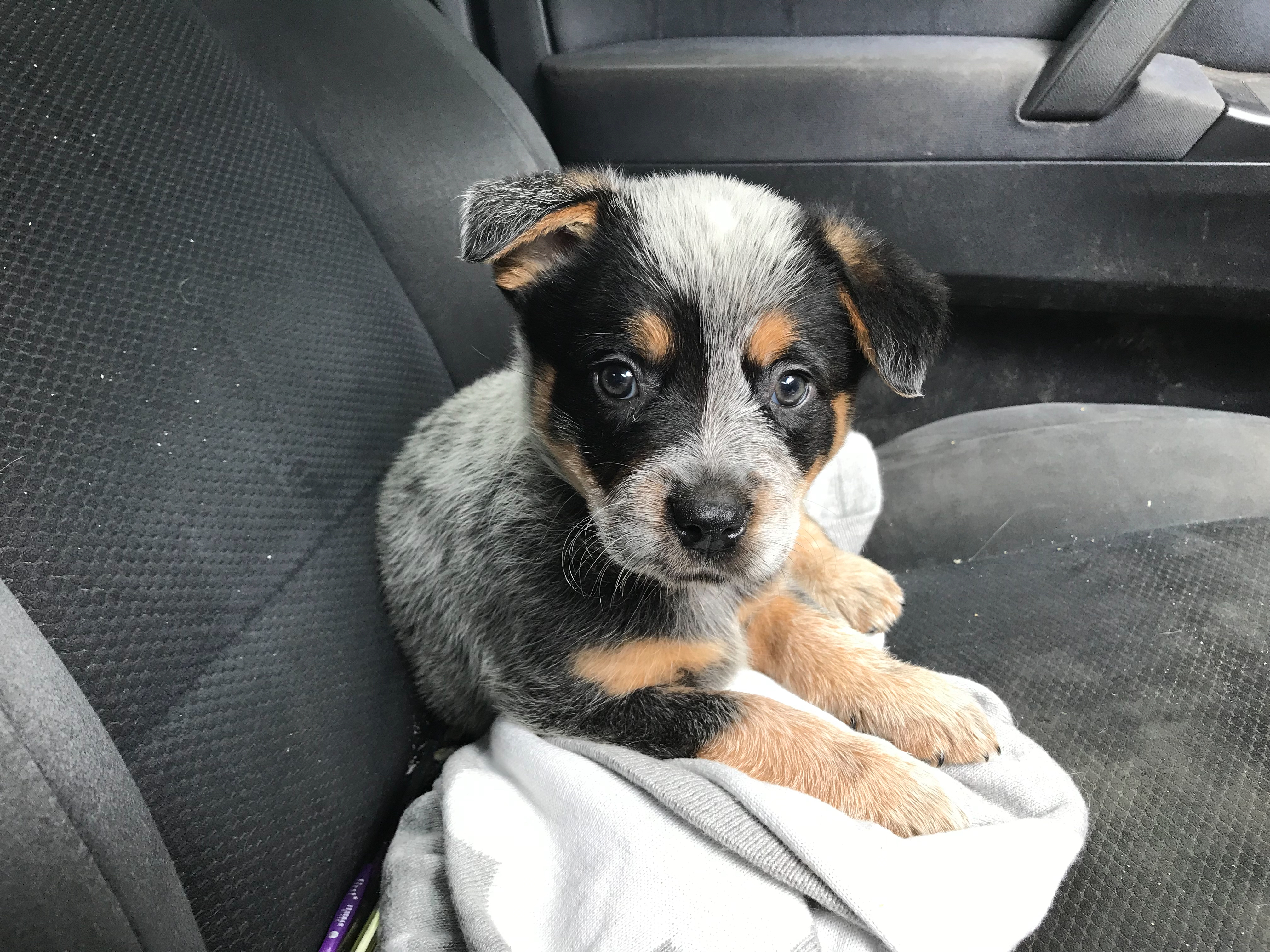 Off to meet her new family