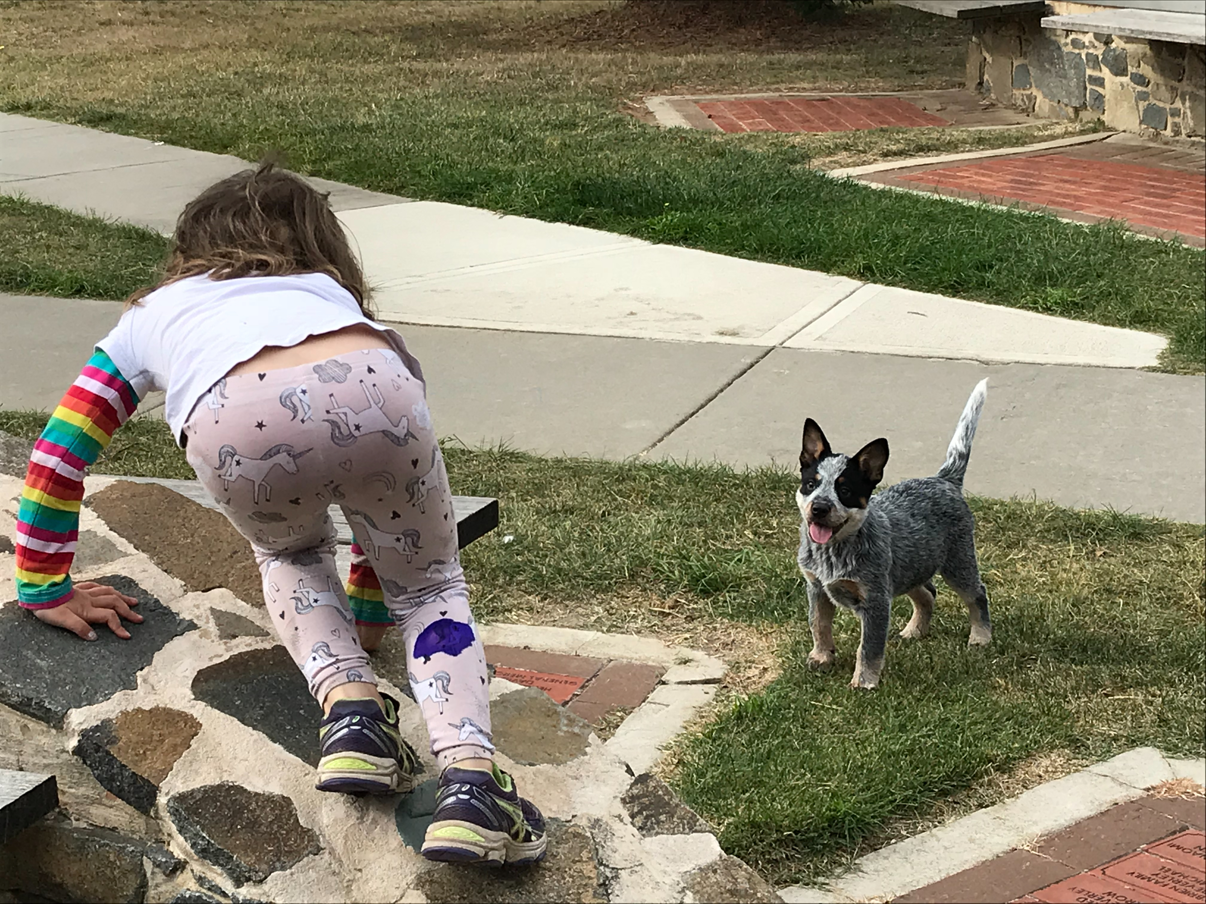 Fun at the park