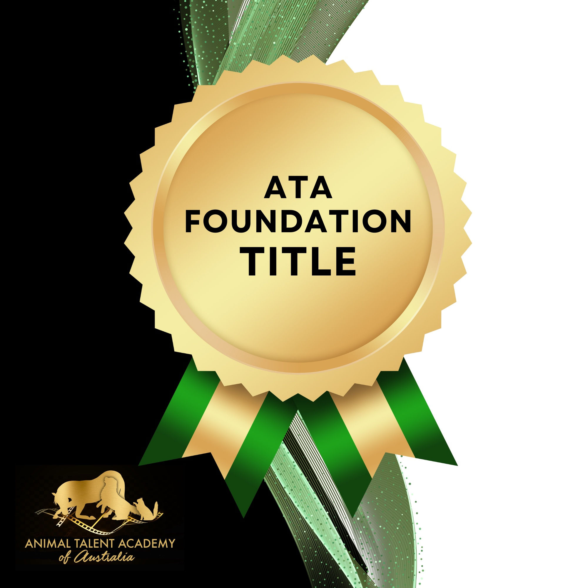 FOUNDATION TITLE