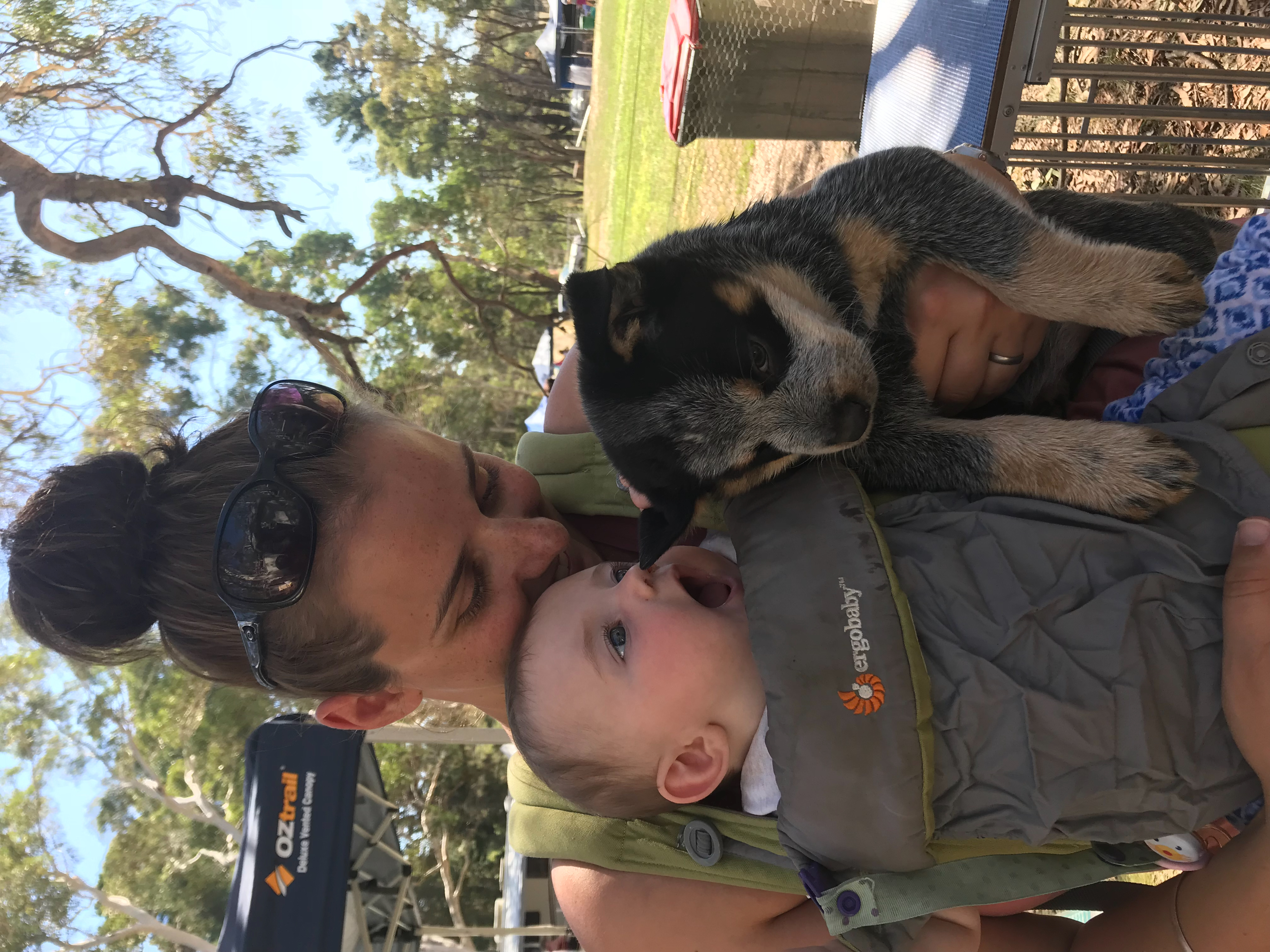 They day they met