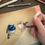 Thumbnail: Original - Superb Fairy Wrens and Nest