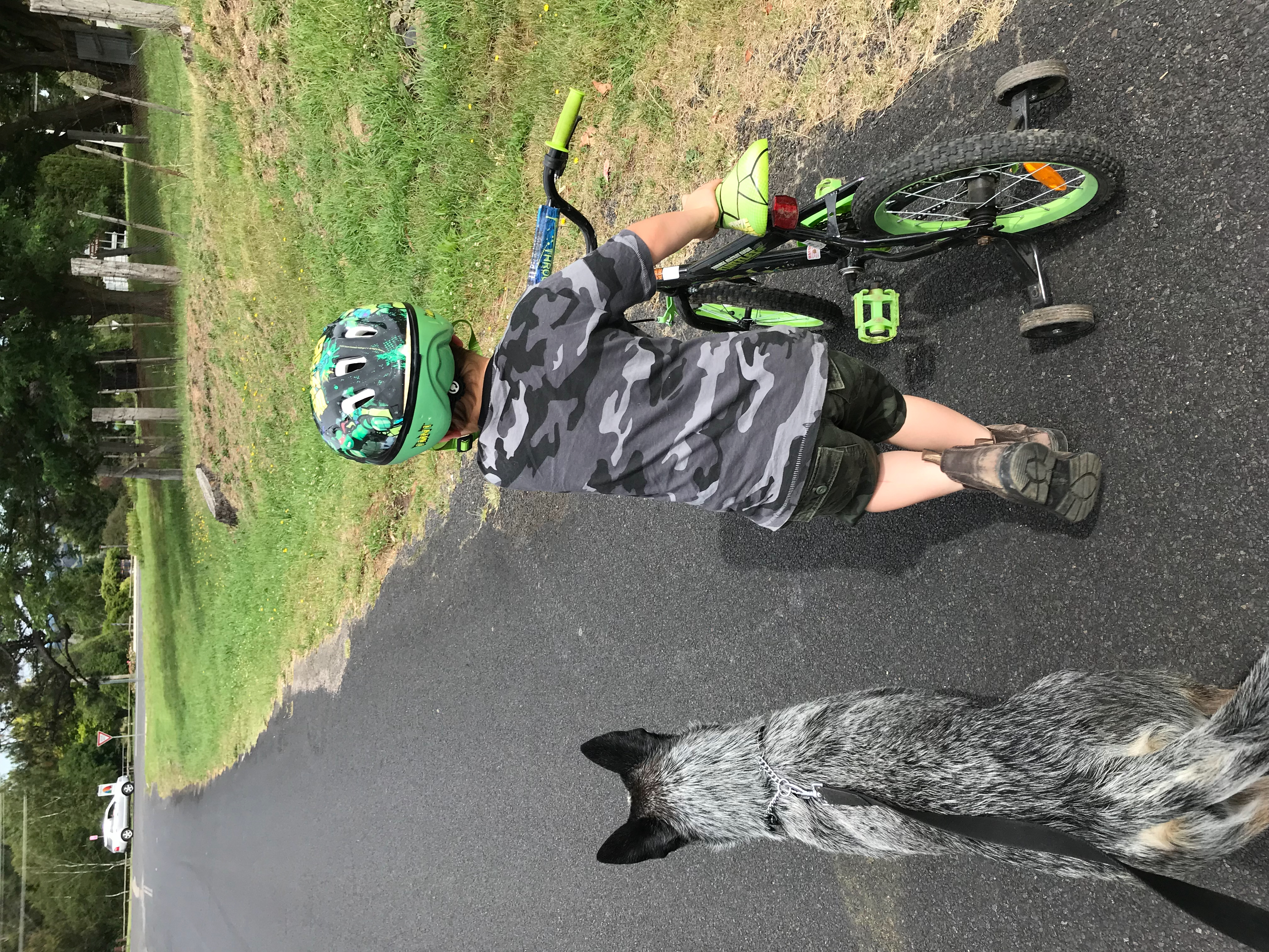 A dog is a boys best mate