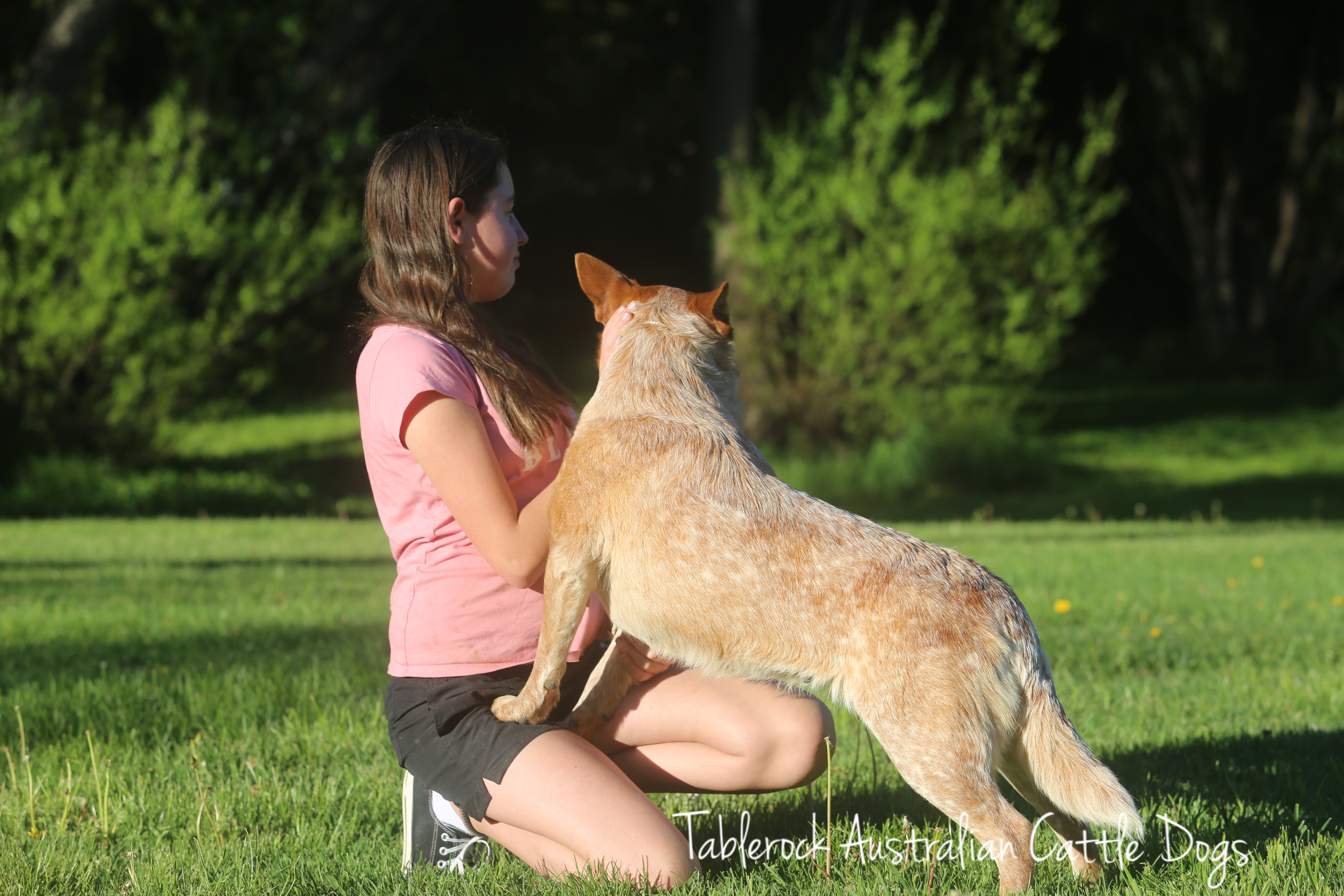 Jolene and Fox