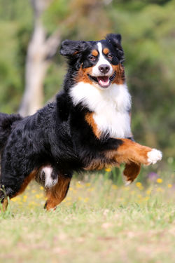 32b92bce77051a60a861dd23be1ba0af