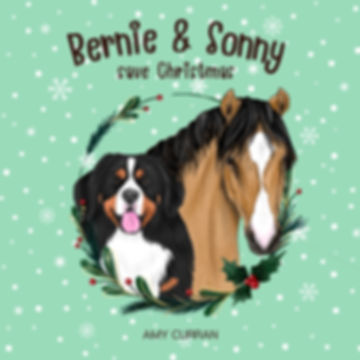 BOOK - Bernie & Sonny save Christmas 