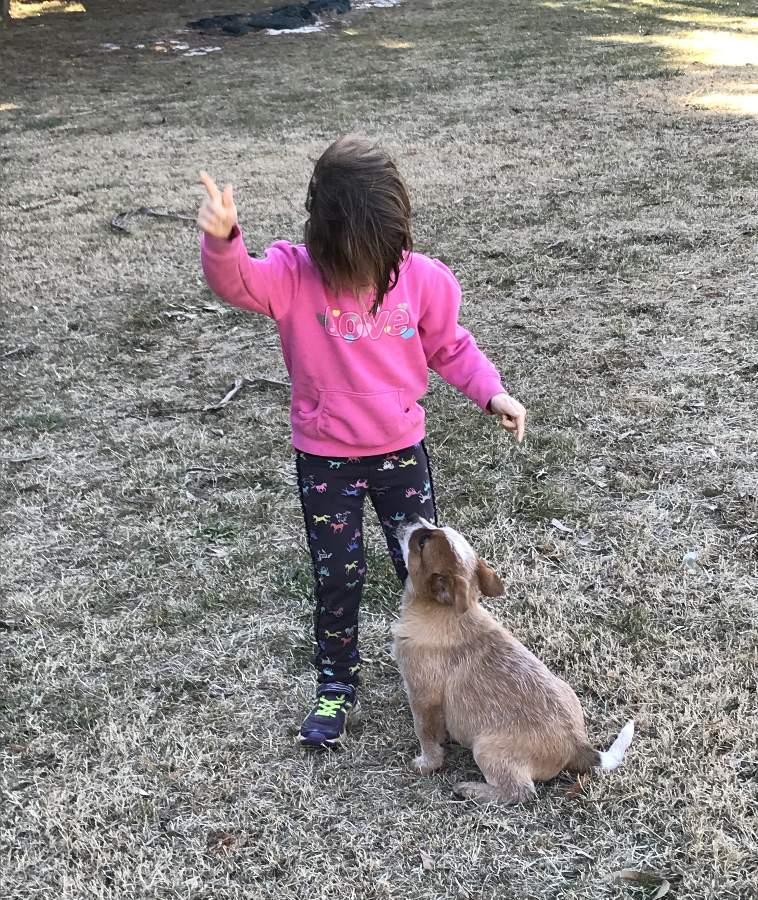 Early training