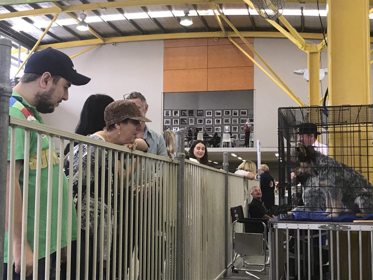 Crowd Favourites at the Sydney Royal
