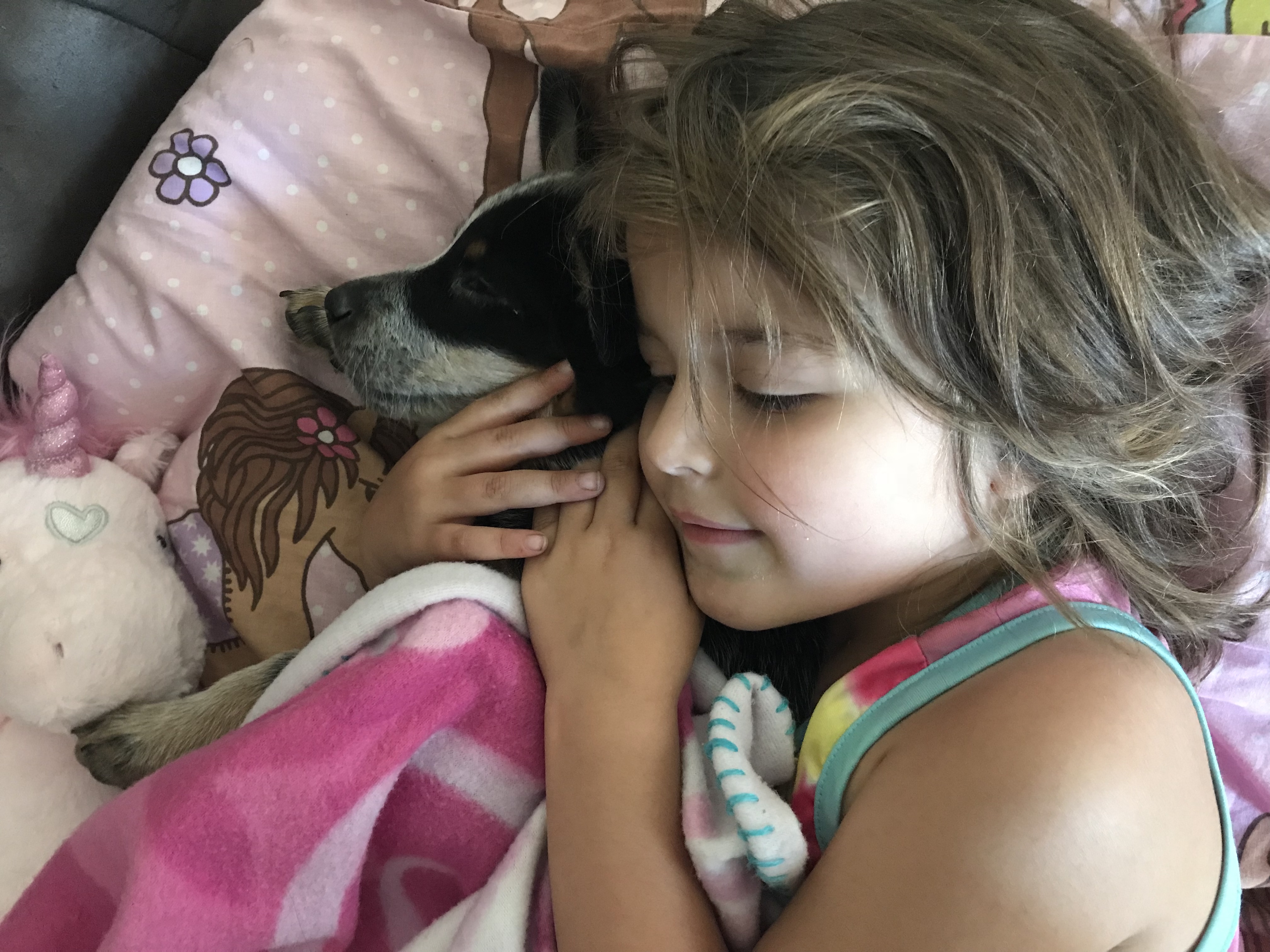 Where else do puppies sleep?