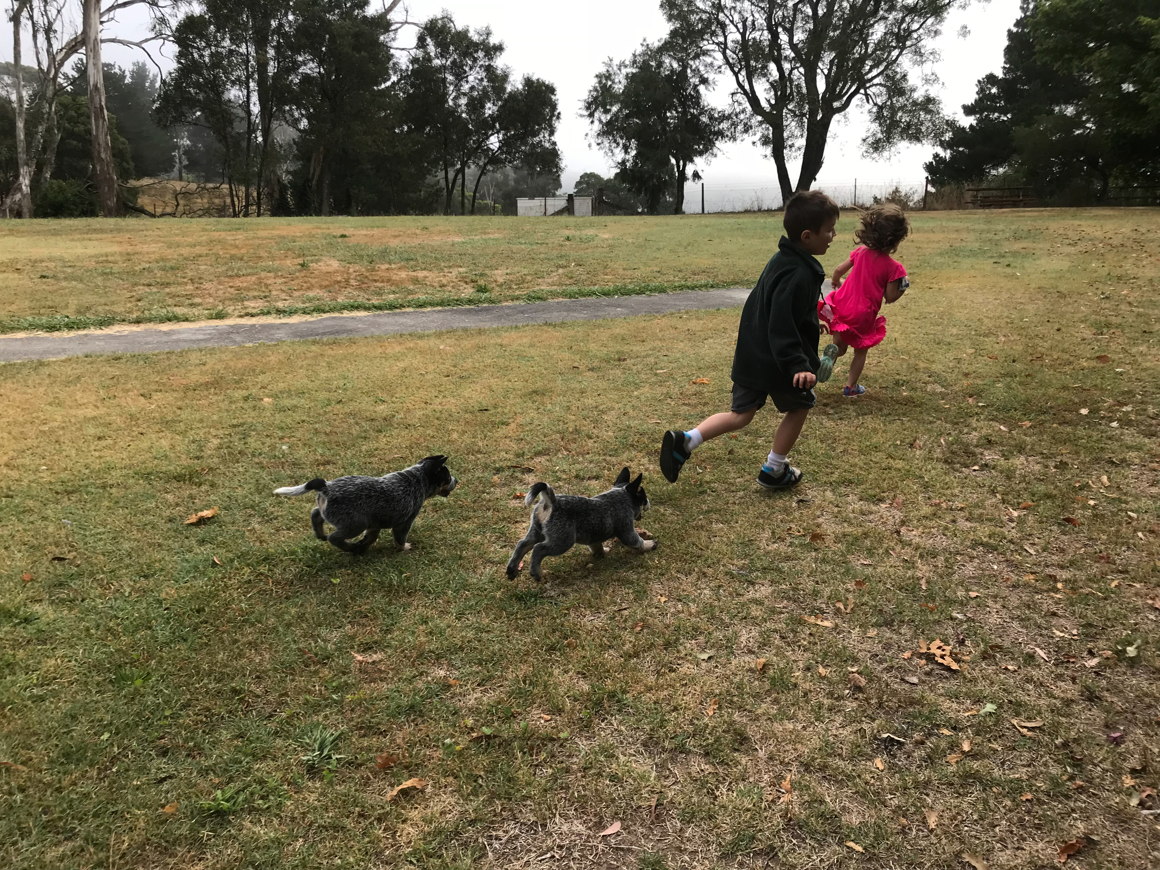 Chasing the kids at school