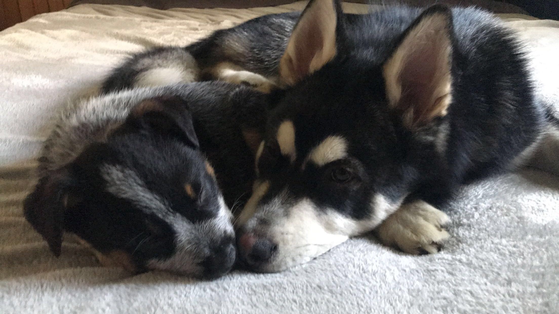 Best friends