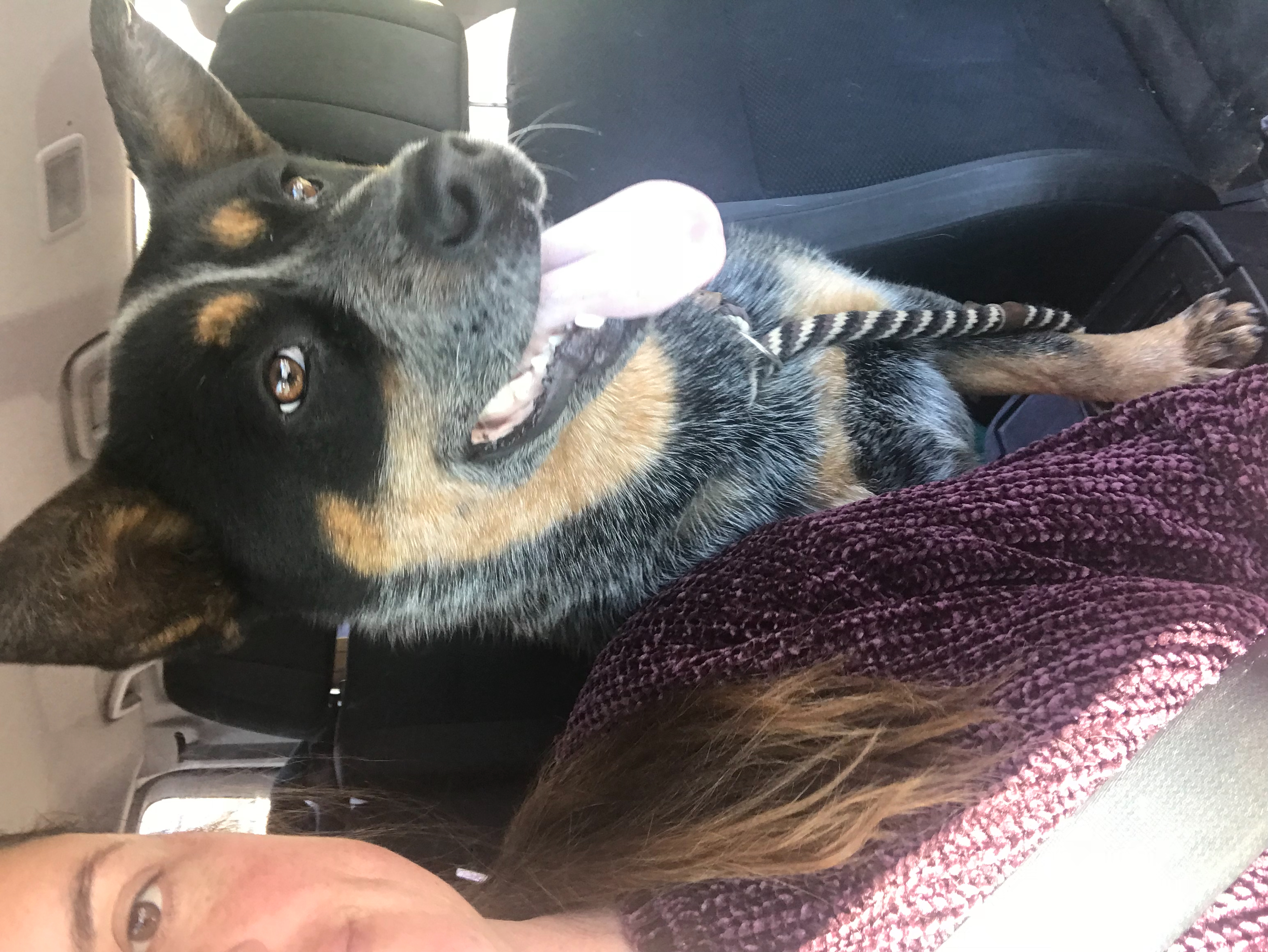 Lucy cruising
