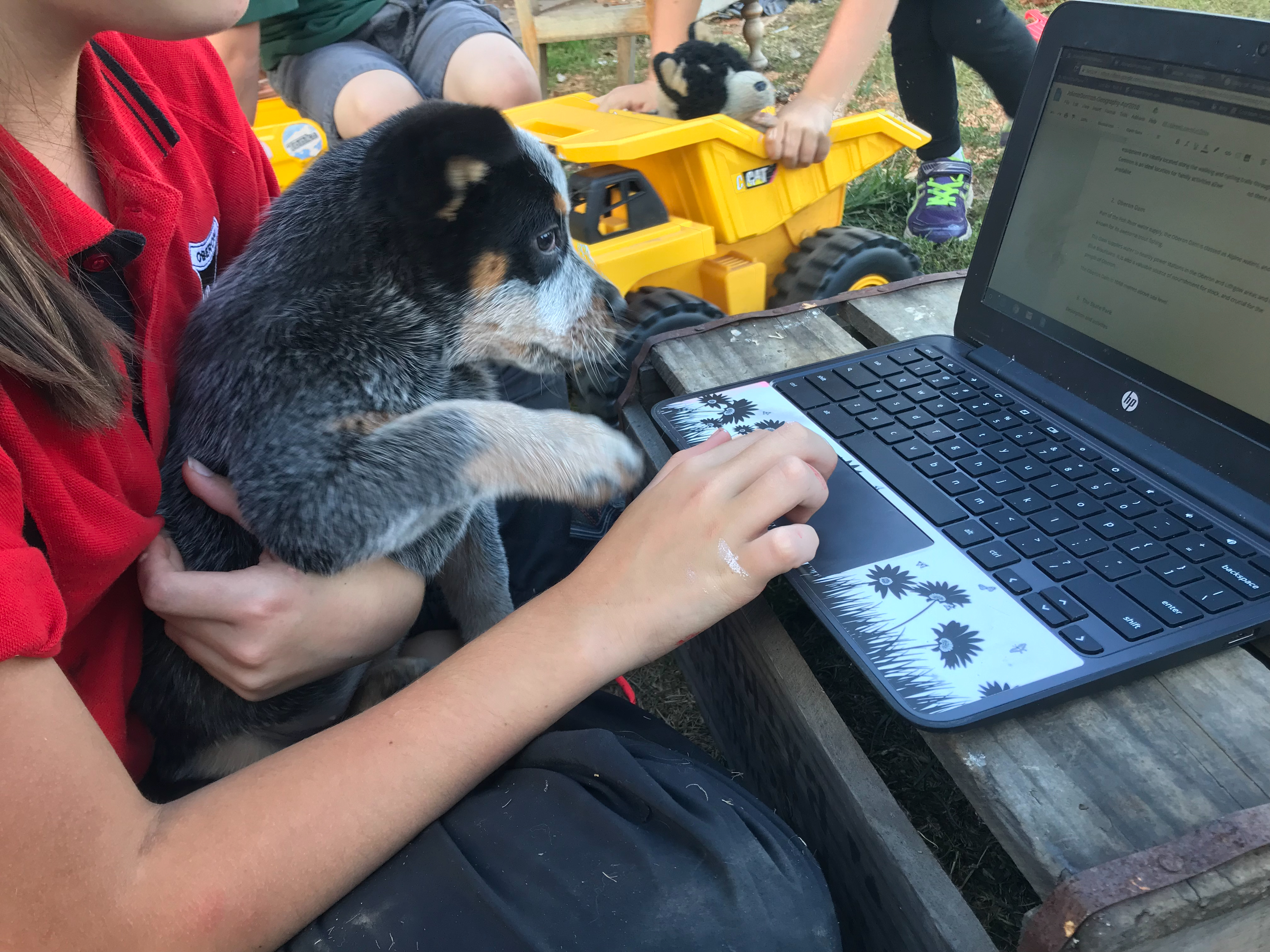 TR puppies even help with homework