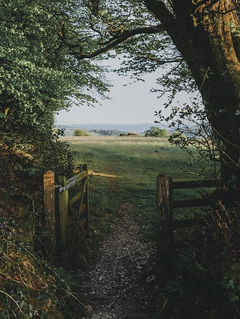 countryside with gate