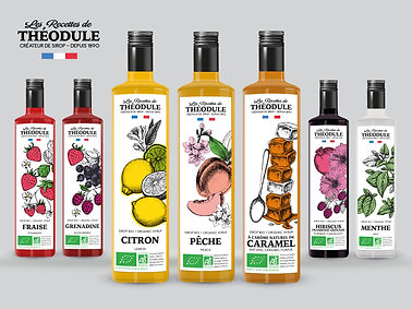 Gamme de Sirop Les Recettes de Théodule