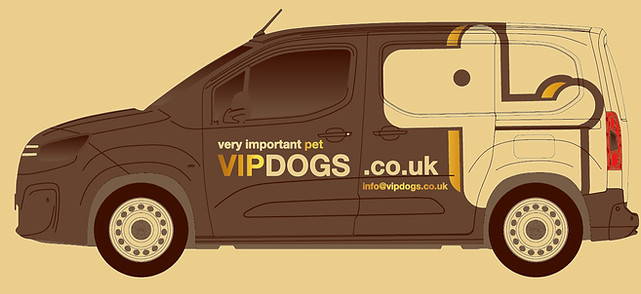 vip dogs van