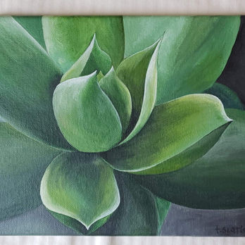 green succulent acrylic fine art painting by teascarlet hannah sucsy bonners ferry artist