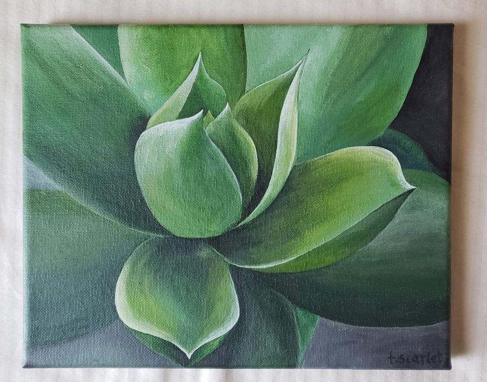 green succulent acrylic fine art painting by teascarlet hannah sucsy bonners ferry artist