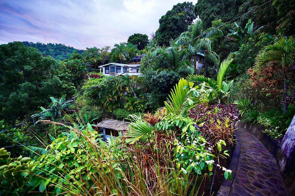 bc0d6ab5-716a-4a9c-9c8a-8dd9f8e9bd9e