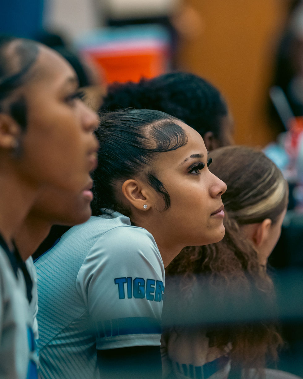 Tiger VB Batch 02-17.jpg