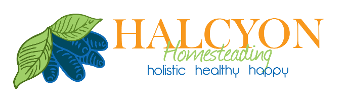 Halcyon-Logo-Color_edited.png