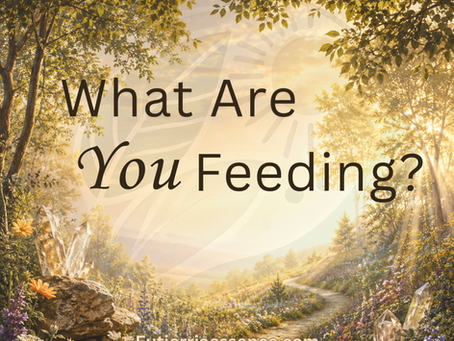 What are you feeding?