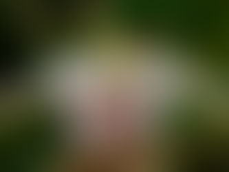 Garden Guardians: Moths