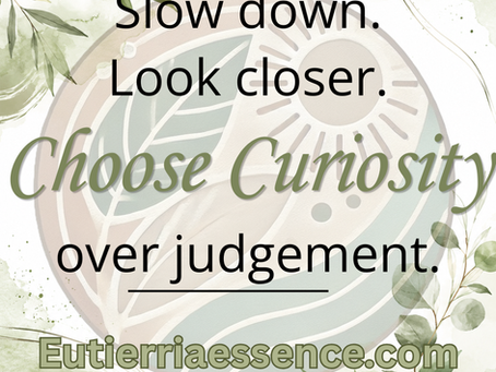 "Slow down. Look closer. Choose curiosity over judgement."