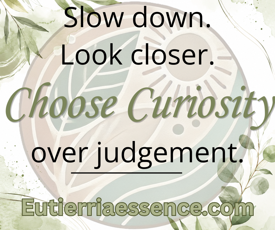 "Slow down. Look closer. Choose curiosity over judgement."