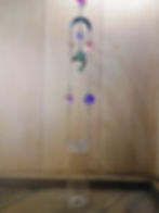 Dolphin Suncatcher Propagation Jar Full View