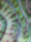 33c37a17-7215-4250-a9d7-9134e2222257_edited.jpg