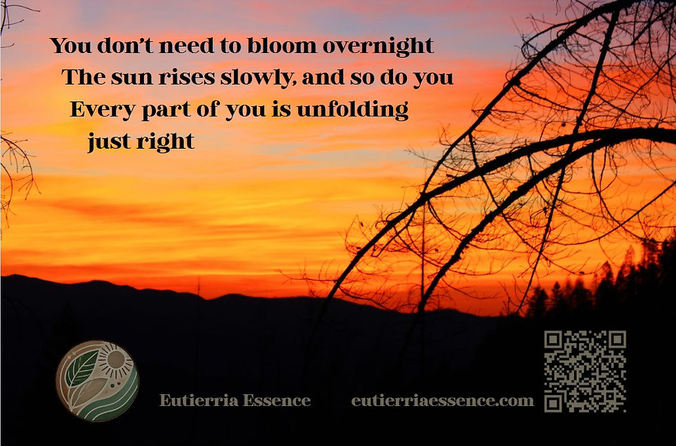 You dont need to rise overnight. The Sun rises slowly, and so do you. Every part of you is unfolding just right