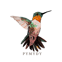 pymydy (2).png