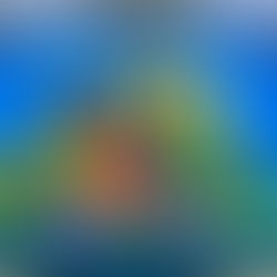 Quando as paredes reconhecem quem chega: PLAC colore espaço da Comissão de Heteroidentificação da UFRR
