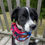 Thumbnail: "Arkon Trail Hike' Original Art Tube Headwear