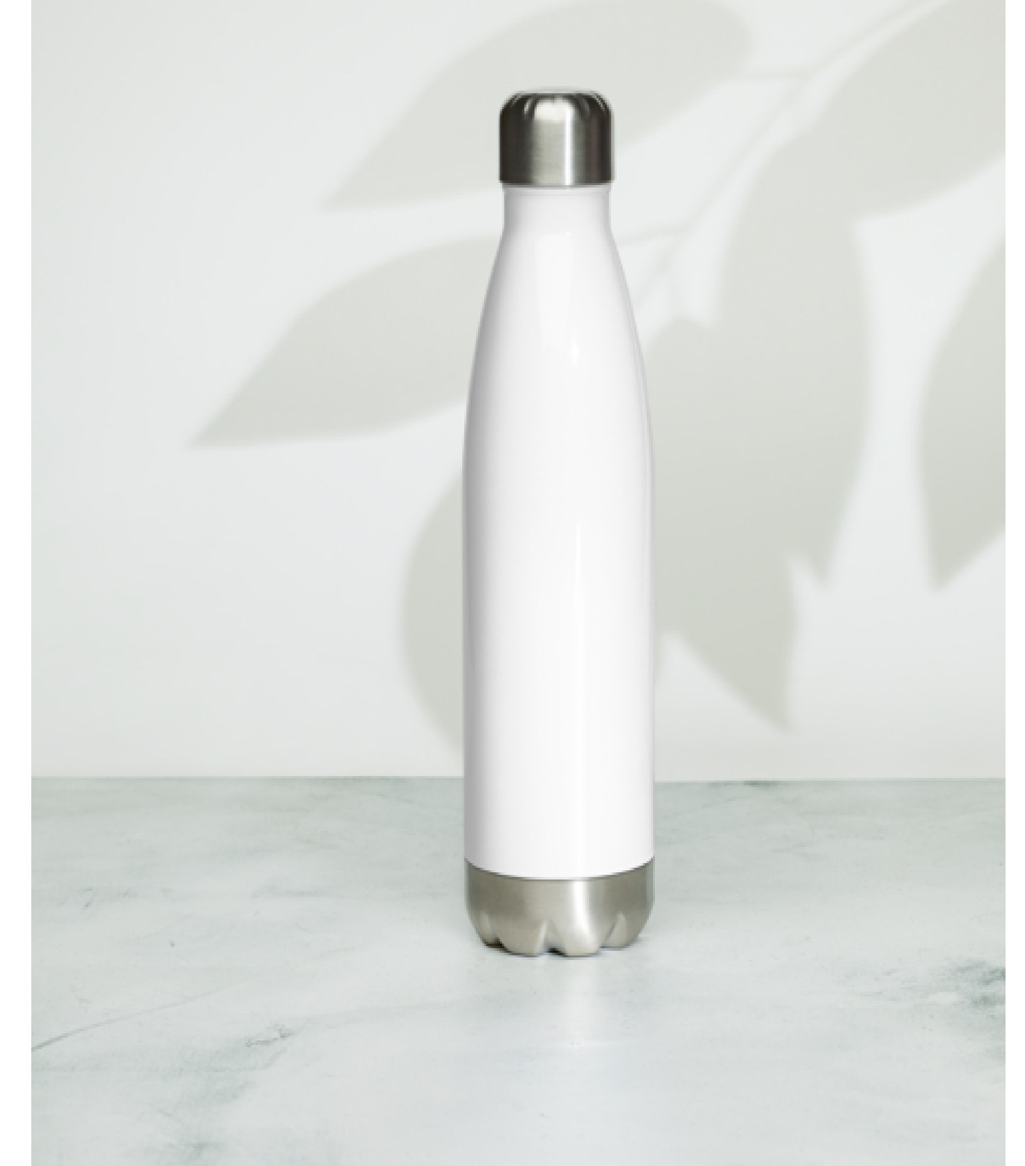 Water Bottle - Stainless Steel - 17 oz