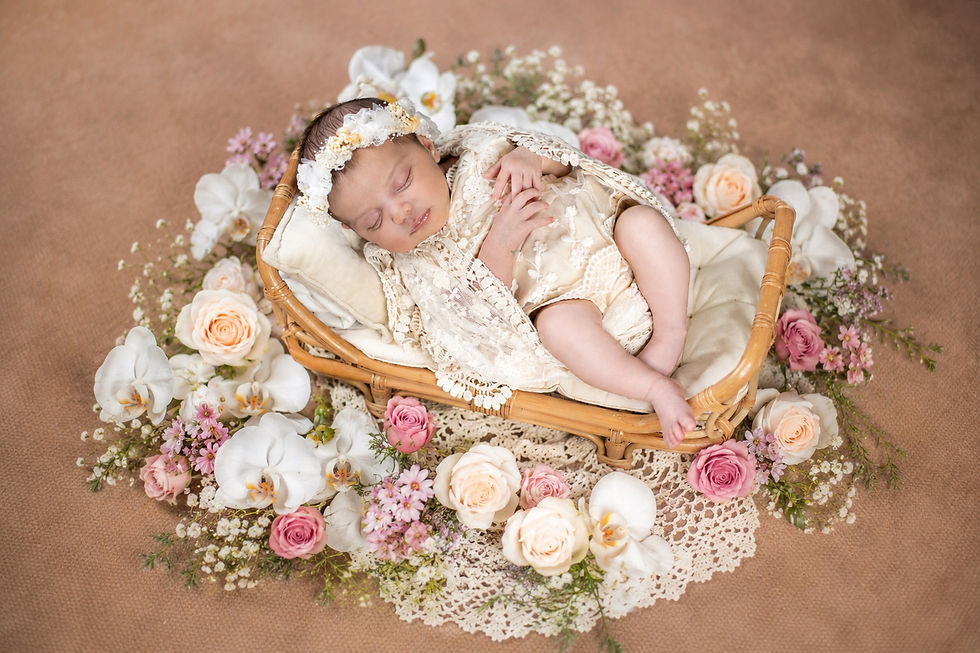 Newborn Photographer in Redding, CT | Stress-Free In-Home Newborn Photography