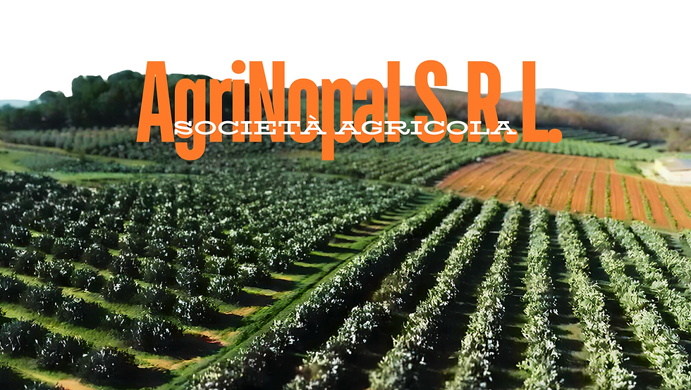 Società Agricola.png