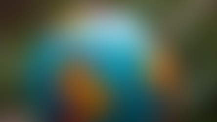 Understanding Economic Sanctions: A Comprehensive Guide