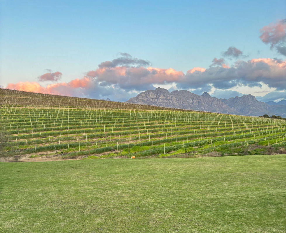 wine-culture-img-6094