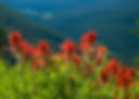 Daybreak-Integrative-Nutrition-iStock-133276405-(1).jpg