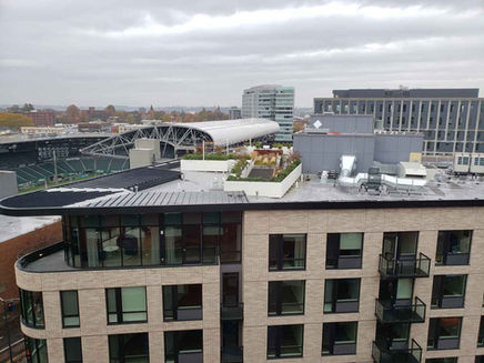 PRC New Building Services